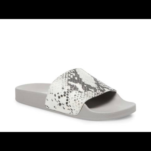 💫 2/50$ - Steve Madden Grey Snake Slides - Picture 1 of 7
